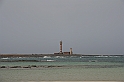 Kanary_2010 126
